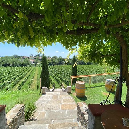 Villa Butussi - L'Ospitalita Del Vino Corno di Rosazzo Exterior photo