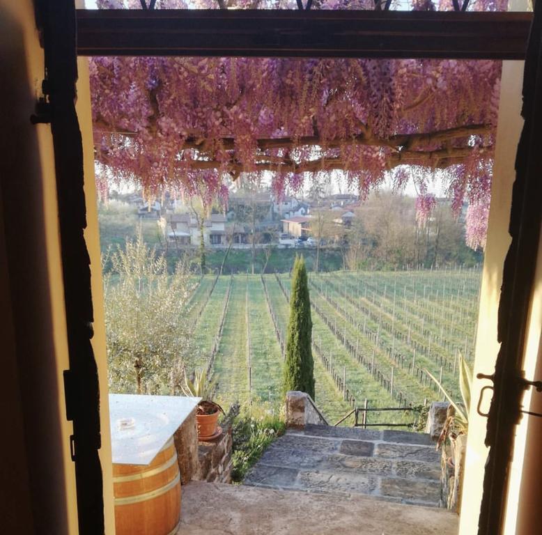 Villa Butussi - L'Ospitalita Del Vino Corno di Rosazzo Exterior photo