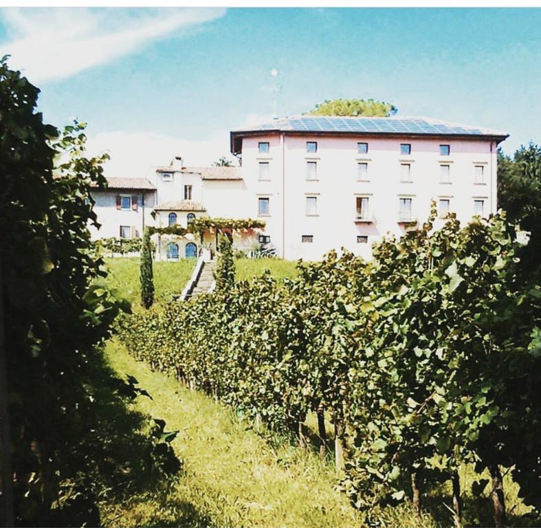 Villa Butussi - L'Ospitalita Del Vino Corno di Rosazzo Exterior photo