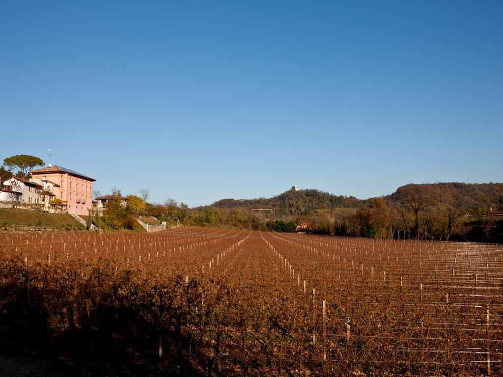 Villa Butussi - L'Ospitalita Del Vino Corno di Rosazzo Exterior photo